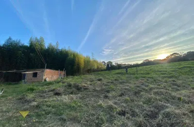 Terreno à venda, 5000 m² por r$ 450.000,00 - biritiba ussu - mogi das cruzes/sp