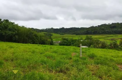 Sítio à venda, 20000 m² por r$ 2.000.000,00 - taiacupeba - mogi das cruzes/sp