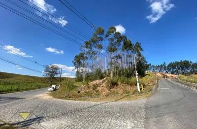 Terreno à venda, 5000 m² por r$ 2.500.000,00 - parque agrinco - guararema/sp