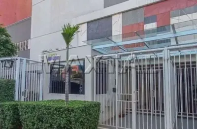 Apartamento no brás com 33 metros de área útil, na avenida rangel pestana, 1 dormitório, 1 banheiro.