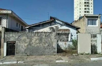 Terreno à venda com 315 m² , 10 metros de frente no tucuruvi, na vila nivi.