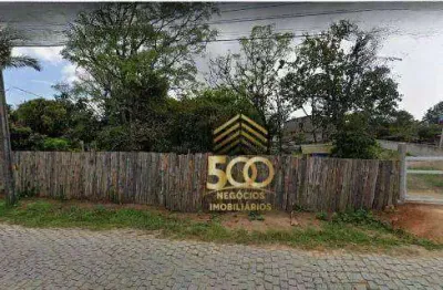 Terreno à venda, 1105 m² por r$ 549.000,00 - pinheira (ens brito) - palhoça/sc