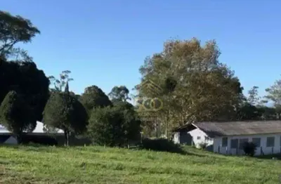 Terreno à venda, 229 m² por r$ 150.000,00 - alto aririu - palhoça/sc