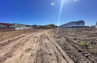 Comercial › terreno - venda - 5.672,62 (m²) de área total - 5.672,00 (m²) de área privativa - 5.672.000,00 - aririu - palhoça - sc