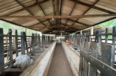 Fazenda de luxo à venda em torreões-mg: 3 quartos, 1 suíte, 2 salas, 4 banheiros e 90 hectare  de área