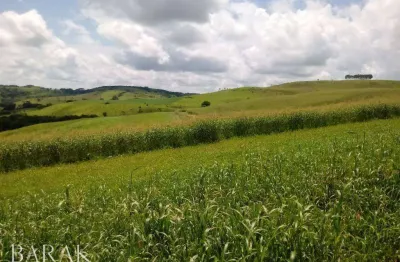 Fazenda à venda, 798600 m² por r$ 6.600.000,00 - zona rural - palmital/pr