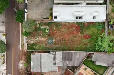Terreno à venda, 600 m² por r$ 1.200.000,00 - zona 08 - maringá/pr
