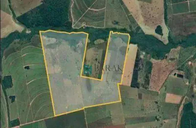 Fazenda à venda na região de ivinhema-ms, 170 alqueires paulista m² por r$ 34.000.000