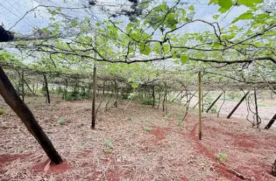 Chácara com 2 dormitórios à venda, 33800 m² por r$ 1.300.000,00 - jardim upon the hills - marialva/pr