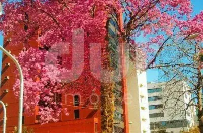 Apartamento com 1 quarto à venda na rua boaventura do amaral, 987, centro, campinas, 50 m2 por r$ 255.000