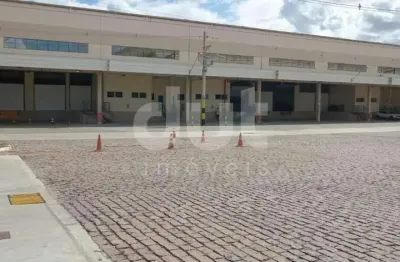 Barracão / galpão / depósito para alugar na rodovia adauto campo dall'orto, 2200, jardim manchester (nova veneza), sumaré, 1450 m2 por r$ 28.500