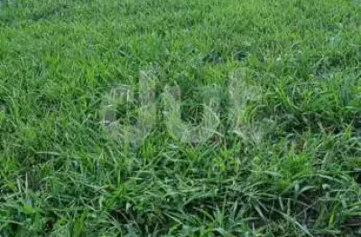 Terreno em condomínio fechado à venda na rodovia romildo prado, km 10, condomínio villagio paradiso, itatiba por r$ 460.000