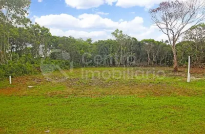 Terreno à venda em Santa Gabriela, Peruíbe 