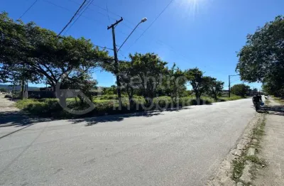 Terreno à venda em peruíbe, no bairro cidade balneária nova peruíbe