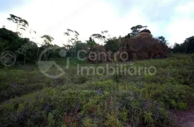 Terreno à venda na Cidade Nova Peruibe, Peruíbe 