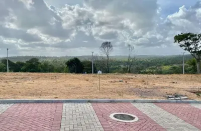 Lote no porto cotovelo - condomínio alto padrão no litoral sul do rn.