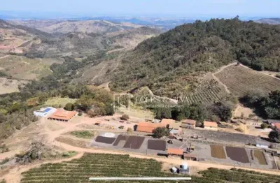 Fazenda produtiva à venda, 242 hectares por r$ 25.000.000 - espírito santo do pinhal/sp
