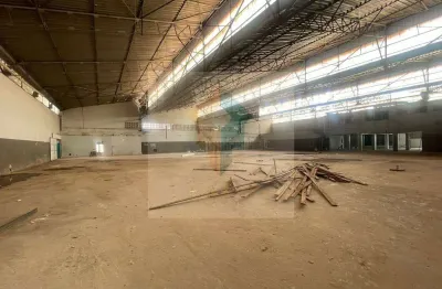 Oportunidade estratégica empresas em expansão _ 1.2 ha fernando correia