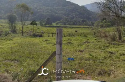 Terreno à venda, 26168 m² por r$ 450.000,00 - são jorge li - apiúna/sc