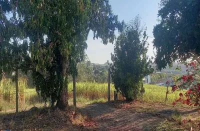 Oportunidade imperdível: sítio à venda em elias fausto-sp, bairro cardeal, 3 quartos, 1 sala, 2 banheiros, 8,30 alqueires de área!