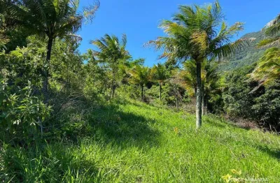 Chácara à venda, 1500 m² por r$ 300.000,00 - buenos aires - guarapari/es