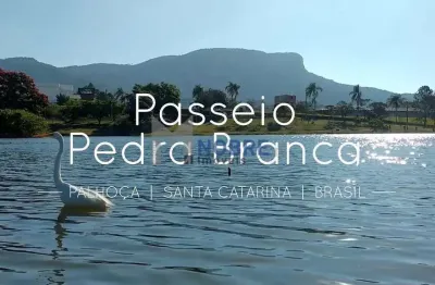 Terreno à venda na Rua do Copo de Leite, 340, Pedra Branca, Palhoça