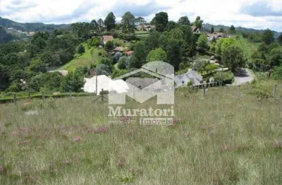 Terreno à venda na Rua Januário Pereira, 750, Jardim Manancial, Campos do Jordão
