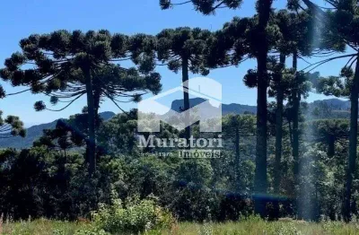 Terreno à venda na Praça São Benedito, 45, Barrado, Campos do Jordão