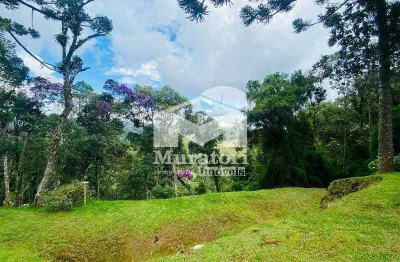 Terreno em condomínio fechado à venda na Avenida Alto Da Boa Vista, 3500, Vale Encantado, Campos do Jordão