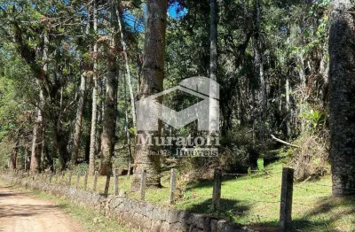 Terreno à venda na região do toriba em campos do jordão - ótima topografia