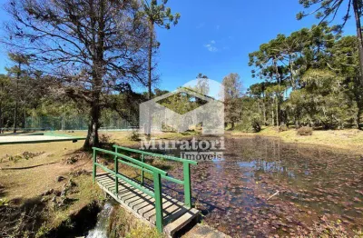Terreno em condomínio fechado à venda na Avenida Pedro Paulo, 7.400, Descansopolis, Campos do Jordão
