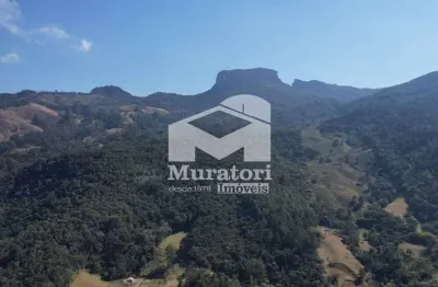 Chácara / sítio com 4 quartos à venda na Estrada Do Torto, 1.123, Baú, São Bento do Sapucaí