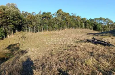 Terreno à venda no Centro, São Pedro de Alcântara 