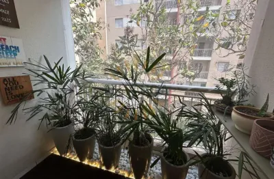 Apartamento com 2 quartos à venda na vila polopoli, são paulo , 65 m2 por r$ 515.000