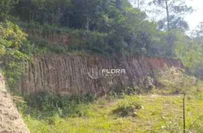 Terreno à venda, 500 m² por r$ 50.000,00 - rio do ouro - niterói/rj