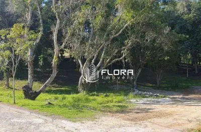 Terreno à venda, 392 m² por r$ 393.943,00 - maria paula - niterói/rj