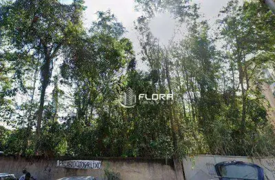 Terreno à venda, 12384 m² por r$ 3.000.000,00 - piratininga - niterói/rj