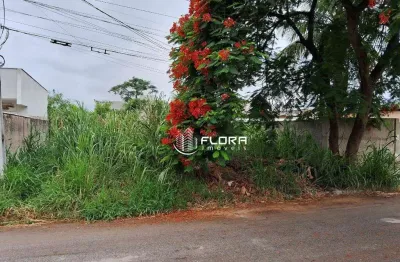 Terreno à venda, 480 m² por R$ 160.000,00 - Jardim Atlântico Central (Itaipuaçu) - Maricá/RJ