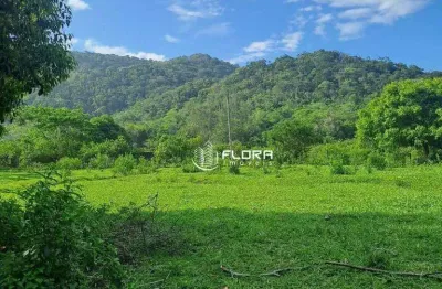 Área com 12.692 m², linear, à venda por R$ 3.000.000 , Camburi - Maricá - RJ