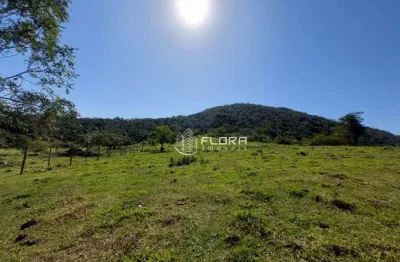 Terreno à venda, 35000 m² por r$ 450.000 - inoã - maricá/rj