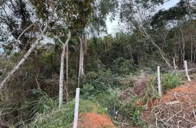 Terreno à venda, 2100 m² por r$ 280.000,00 - santa lidia - penha/sc