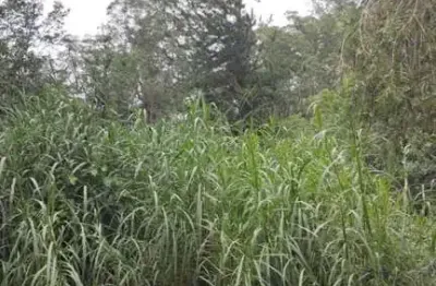 Terreno em condomínio para venda em jundiaí, loteamento capital ville