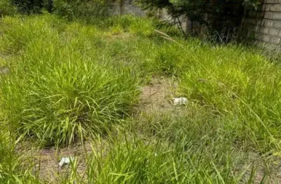 Terreno à venda na Rua dos Gerânios, Portais (Polvilho), Cajamar