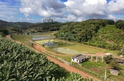 Terreno à venda na rua joão silveira, 1, nova descoberta, balneário piçarras por r$ 7.500.000