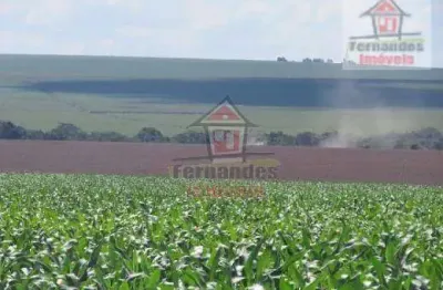 Fazenda à venda no Centro, Dourados 