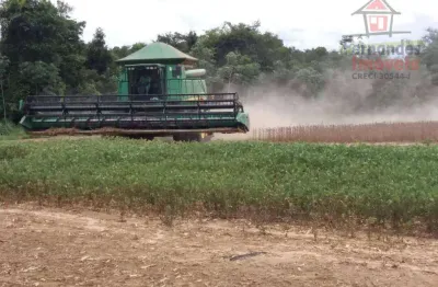 Fazenda à venda, em lucas do rio verde - 1004 há   r$ 112.500.000 - zona rural - lucas do rio verde/mt