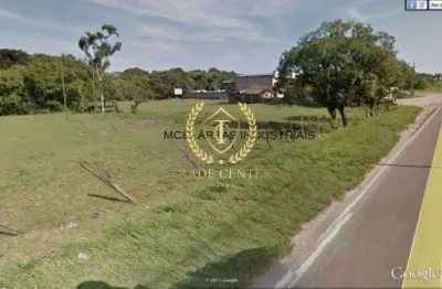 Terreno comercial à venda na Av. Das Araucárias, Thomaz Coelho, --, Thomaz Coelho, Araucária