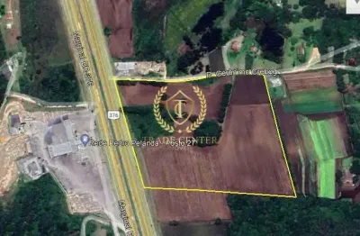 Terreno comercial à venda na Rodovia Br-376 - Marginal, --, Campo Largo da Roseira, São José dos Pinhais