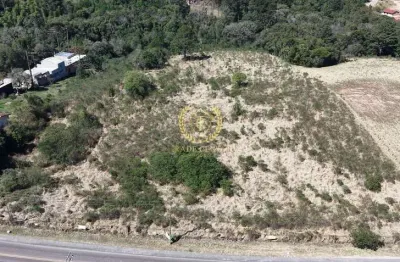 Terreno comercial à venda na Rua Antônio Singer, --, Campo Largo da Roseira, São José dos Pinhais
