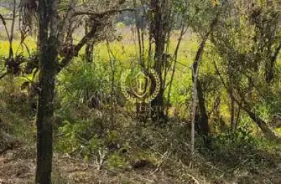 Chácara com aprox  23.880,00m² - borda do campo prox a br.277 - são josé dos pinhais